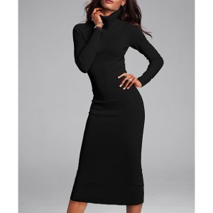 dress with turtleneck