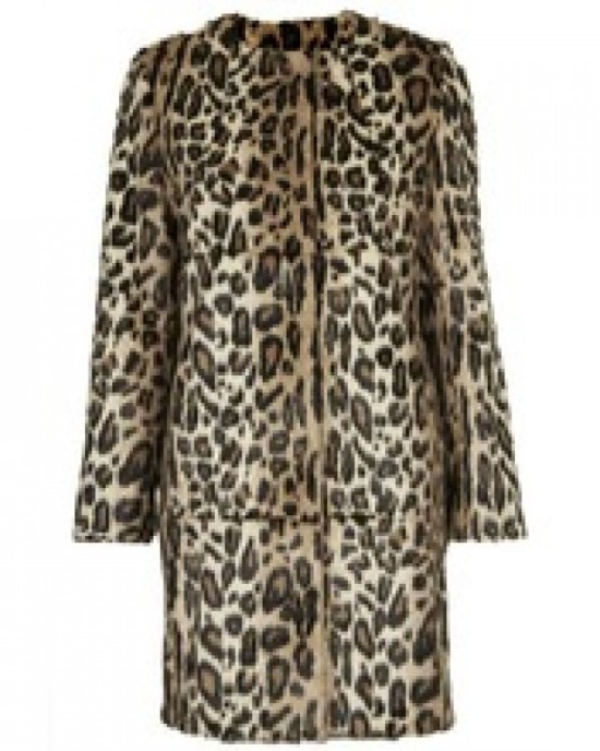 brindle coat brindle coat