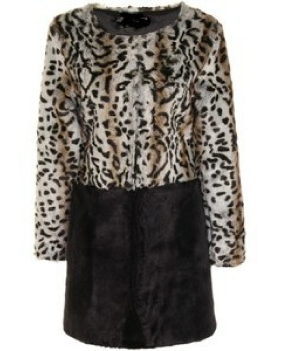 brindle coat brindle coat